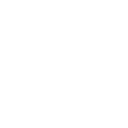 Elmir Rizvanovic Logo